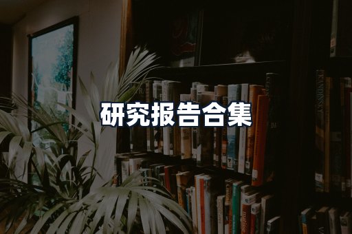 研究报告合集